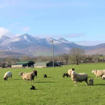 2 Bed Flat - Sleeps 4 - Garden - Parking - Wifi بيت للعطل