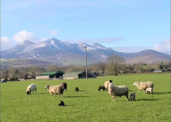 2 Bed Flat - Sleeps 4 - Garden - Parking - Wifi 펜션